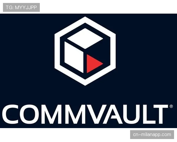 赞助商市场:德甲臂章广告价值评估报告 赞助商市场:德甲臂章广告价值评估报告